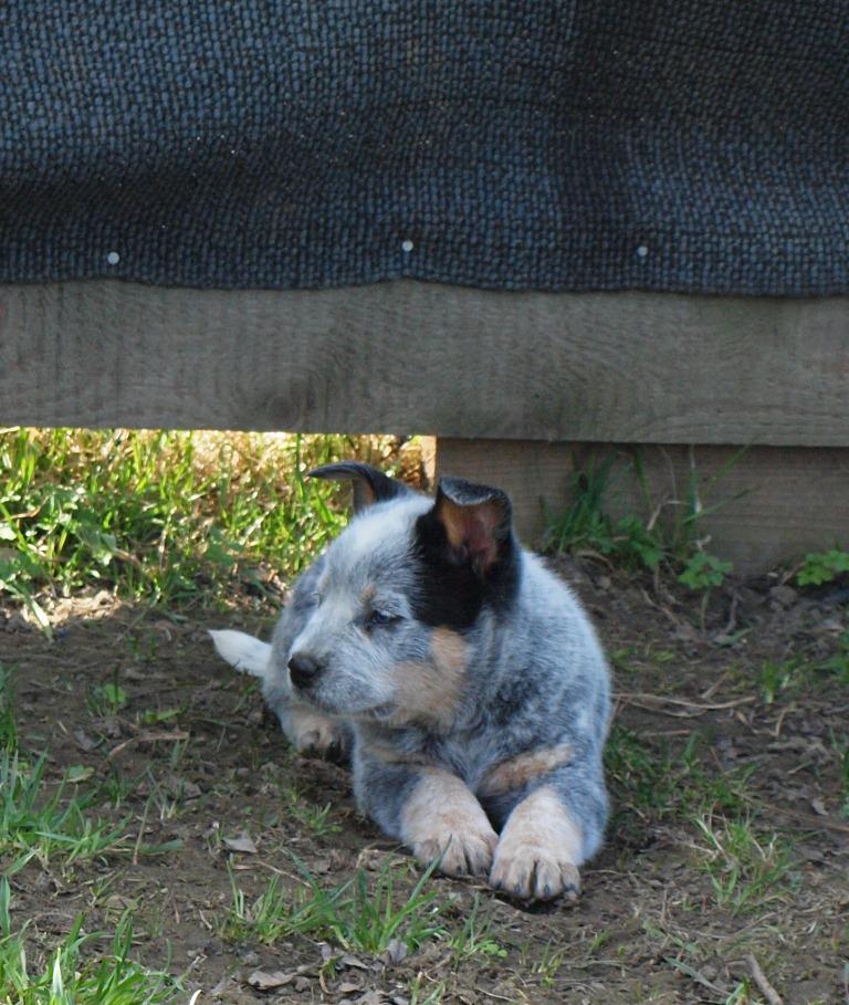 image2901 image